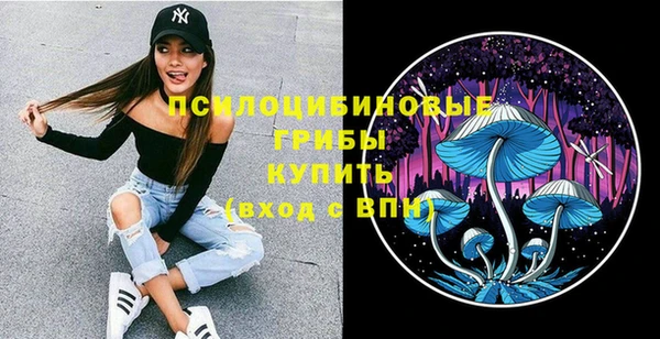 тгк Аркадак