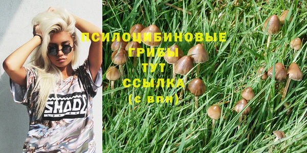 тгк Аркадак