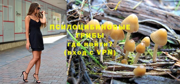 винт Армянск