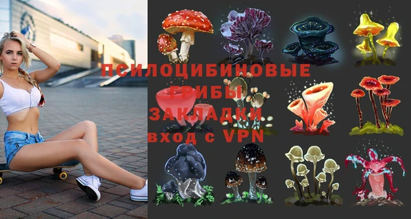 винт Армянск