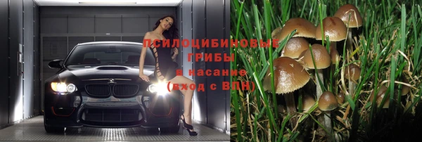 винт Армянск
