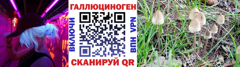 Псилоцибиновые грибы GOLDEN TEACHER  Калачинск 