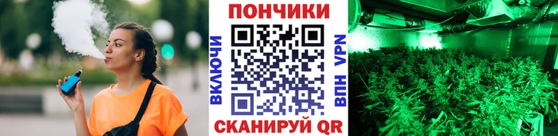 кракен ONION  Калачинск  Конопля сатива 